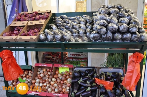 souq gan temar (10).JPG